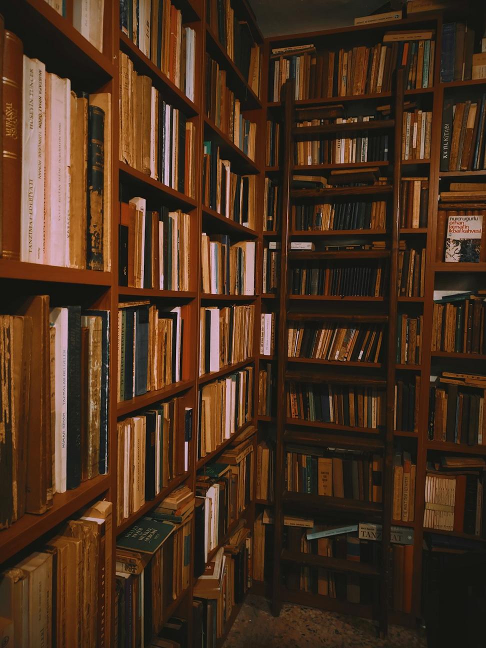 Reading Lounge