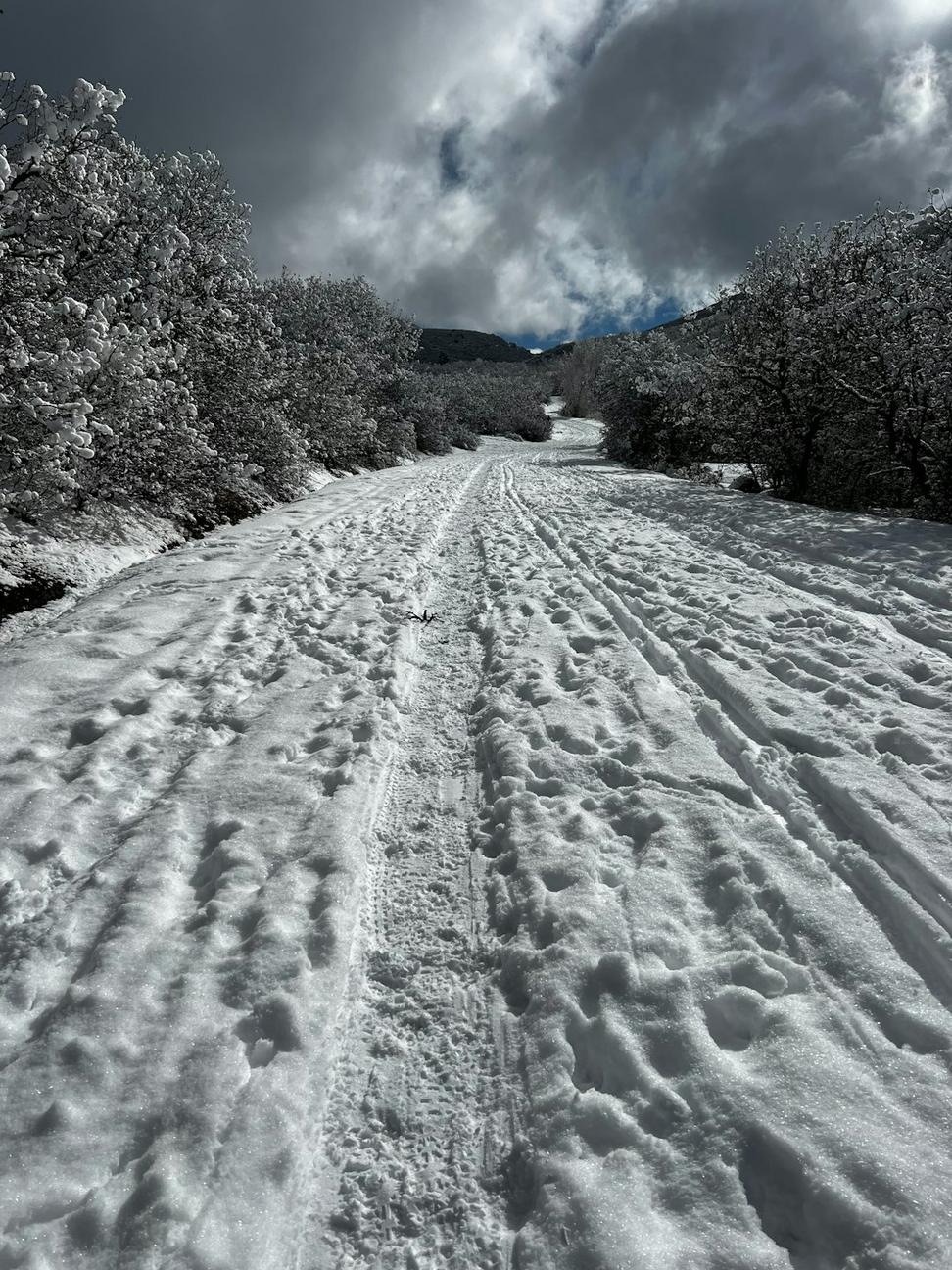 Snowmobiling