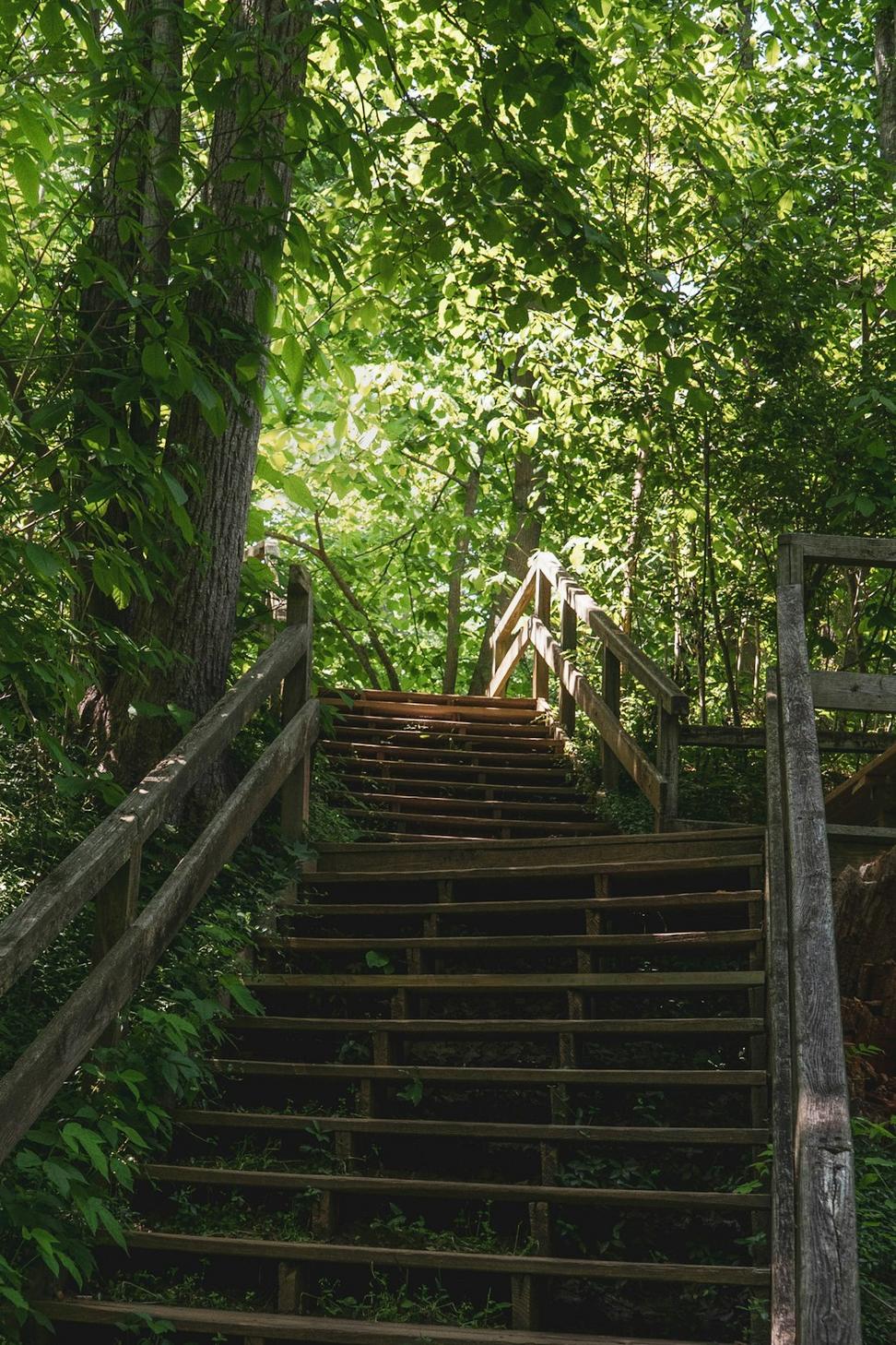 Guided Hikes