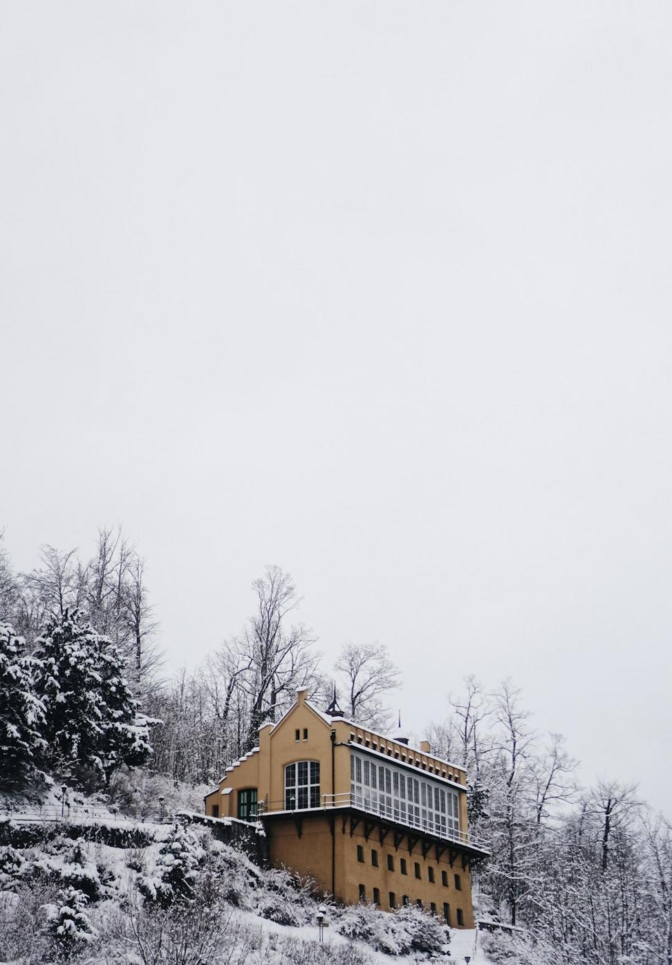 Early construction