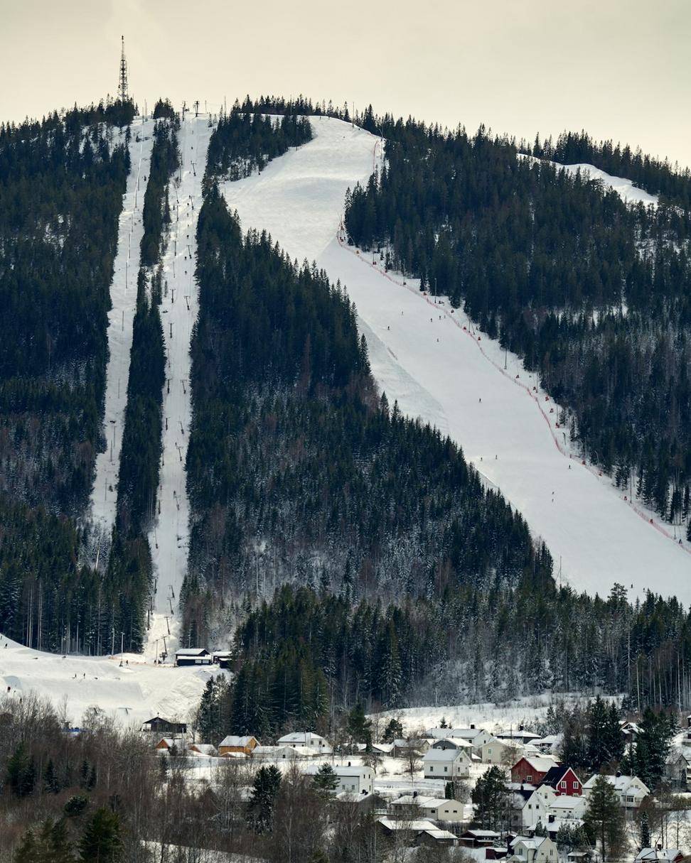 Winter Sports